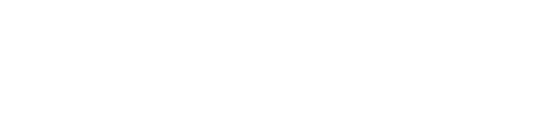 De AI Strateeg